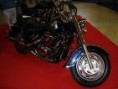 /album/fotogaleria-auto-salon-nitra/dfsgcvxbxcbmn-jpg/
